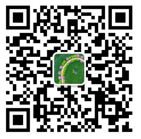 文章附图